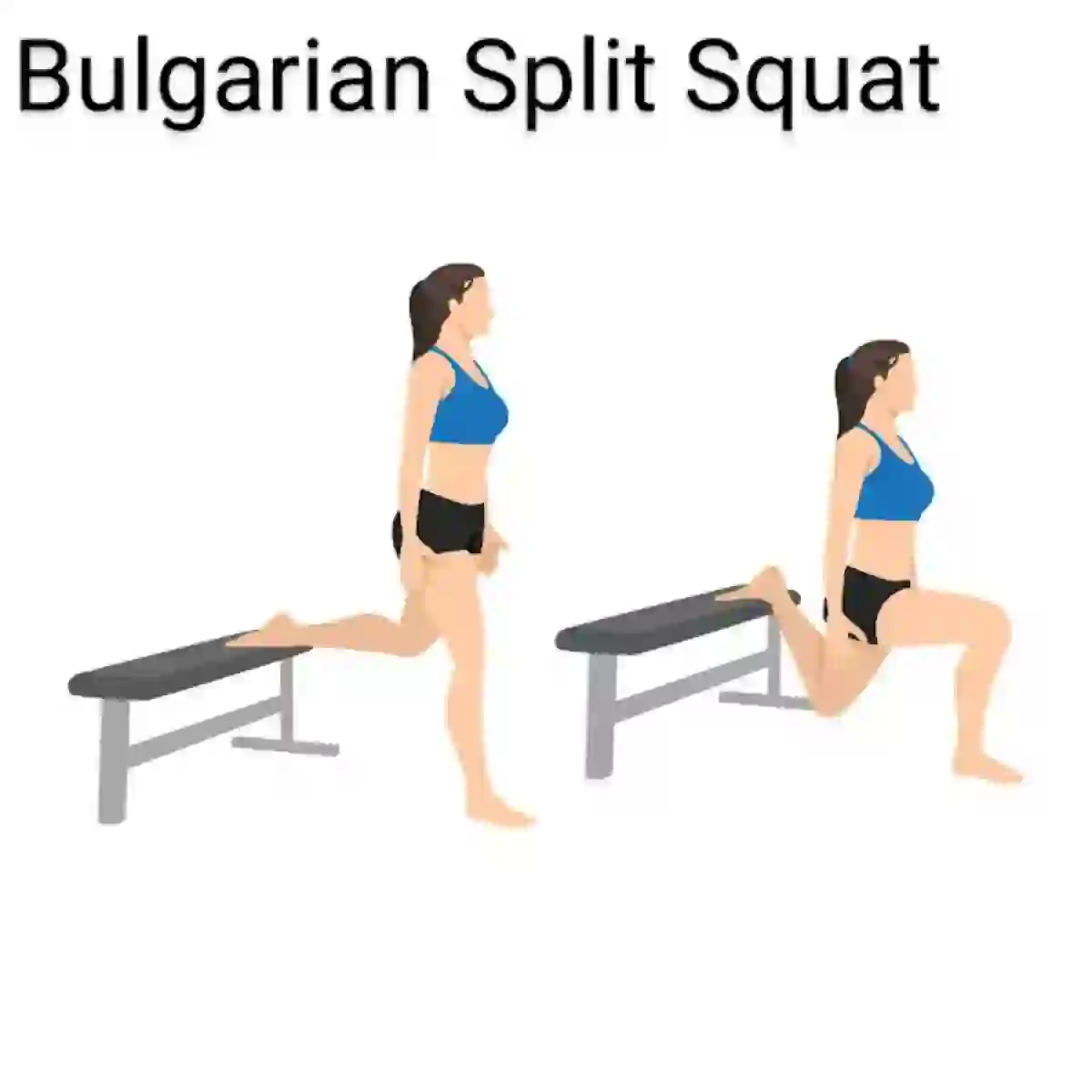 How to do a Bularian Split Squat. Stand 2 to 3 feet in front of a knee-high platform. Extend your right leg behind you and rest your toes on the bench. Keeping your torso upright, slowly lower your right knee toward the floor. Your front knee will form approximately a 90-degree angle. Then Reverse the move and return to the starting position.